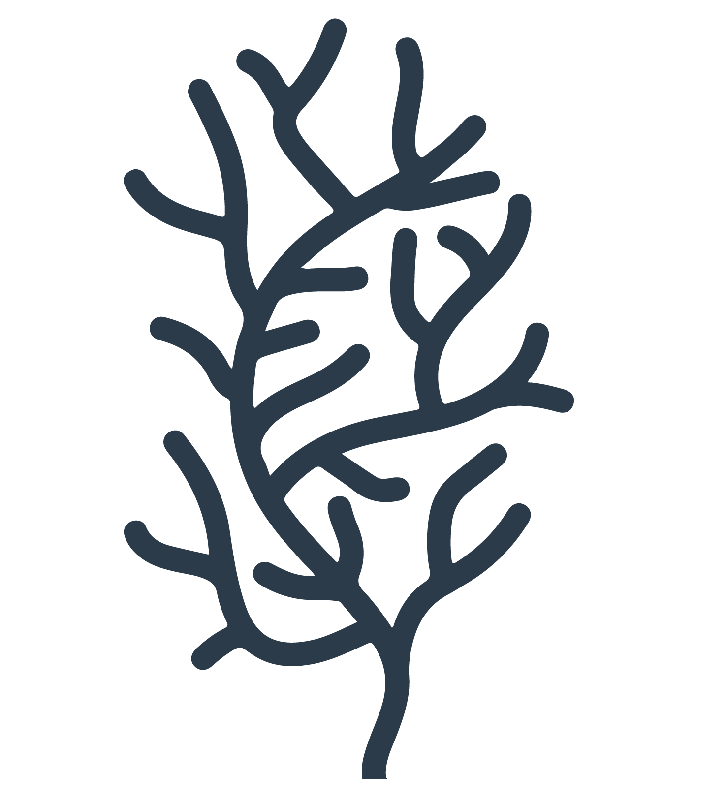 Plocamium Holdings logo